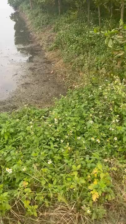 Đất nền MB67, Thôn Bảo Tiến, 150m² giá 1.3 tỷ - Sổ hồng sẵn, giao dịch ngay!