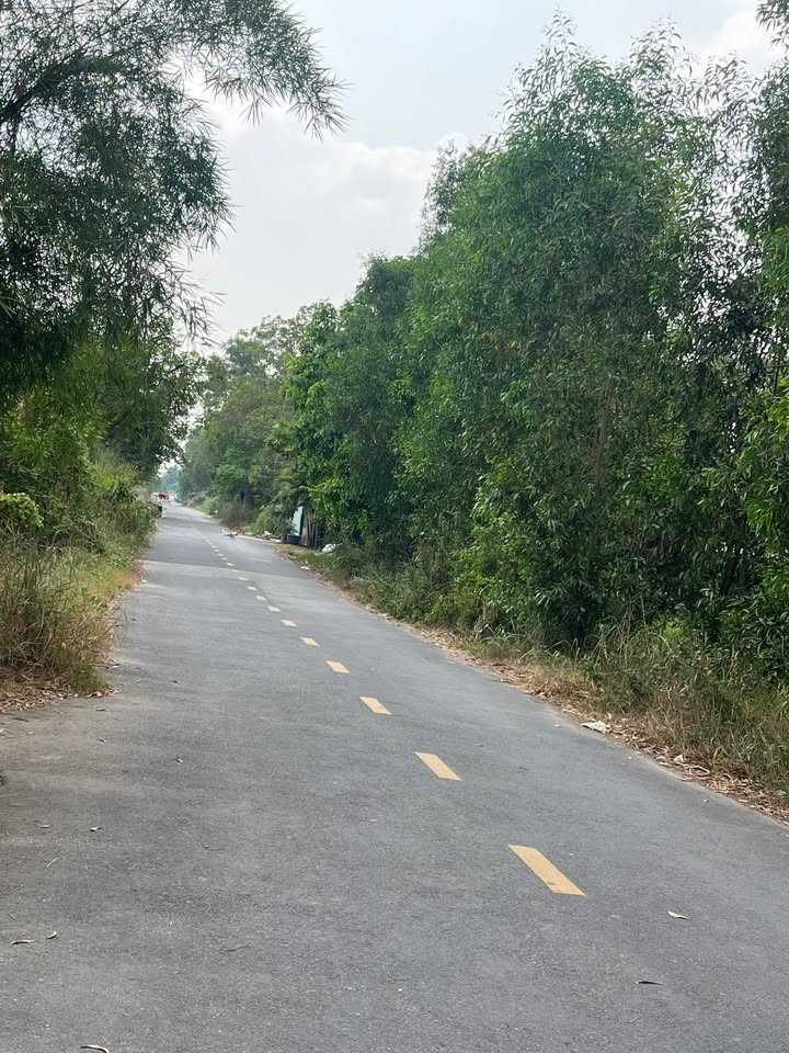 Kho cho thuê tại Trung An, Củ Chi 2000m² - Giá chỉ 10 triệu/tháng!