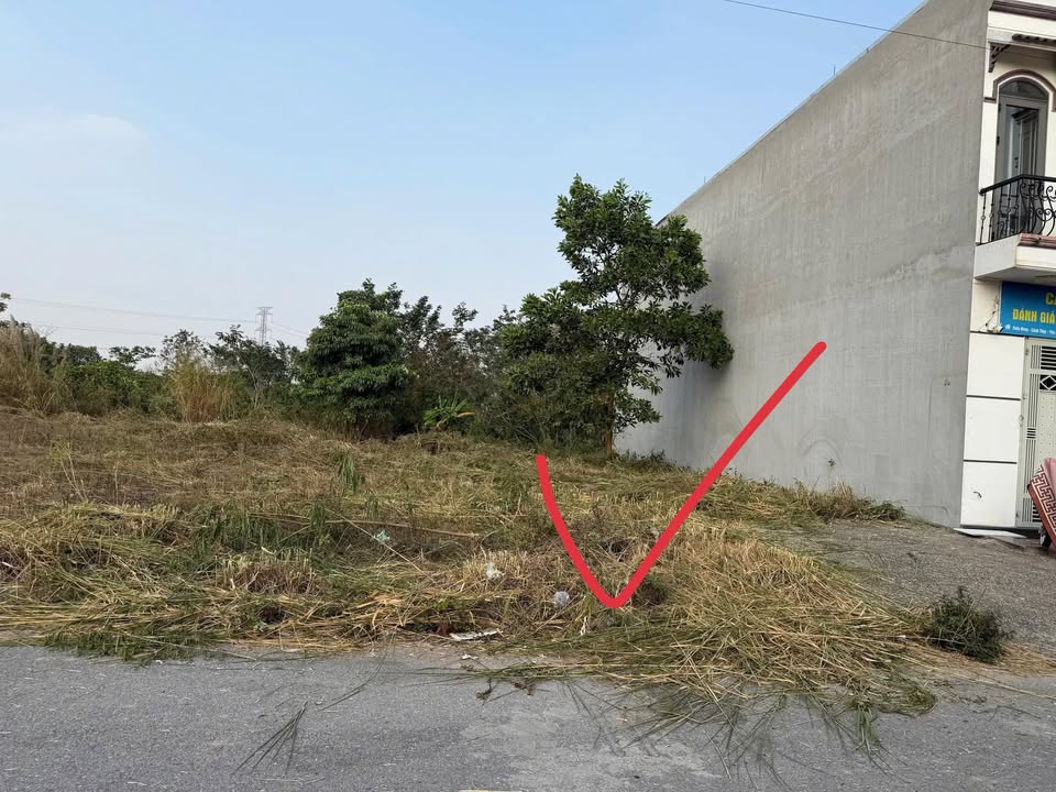 Đất nền Cảnh Thụy Bắc Giang 100m² giá 3 tỷ - Cơ hội đầu tư hiếm có!