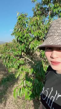 Đất Farm 6 sào tại xã Ea H'leo, Đắk Lắk giá 1.5 tỷ - Sẵn sàng đầu tư sầu riêng!