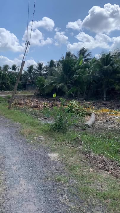 Đất nền Phú Diêm Ninh Đa 101m² giá 320 triệu - Cơ hội sở hữu đất thổ cư hiếm có!