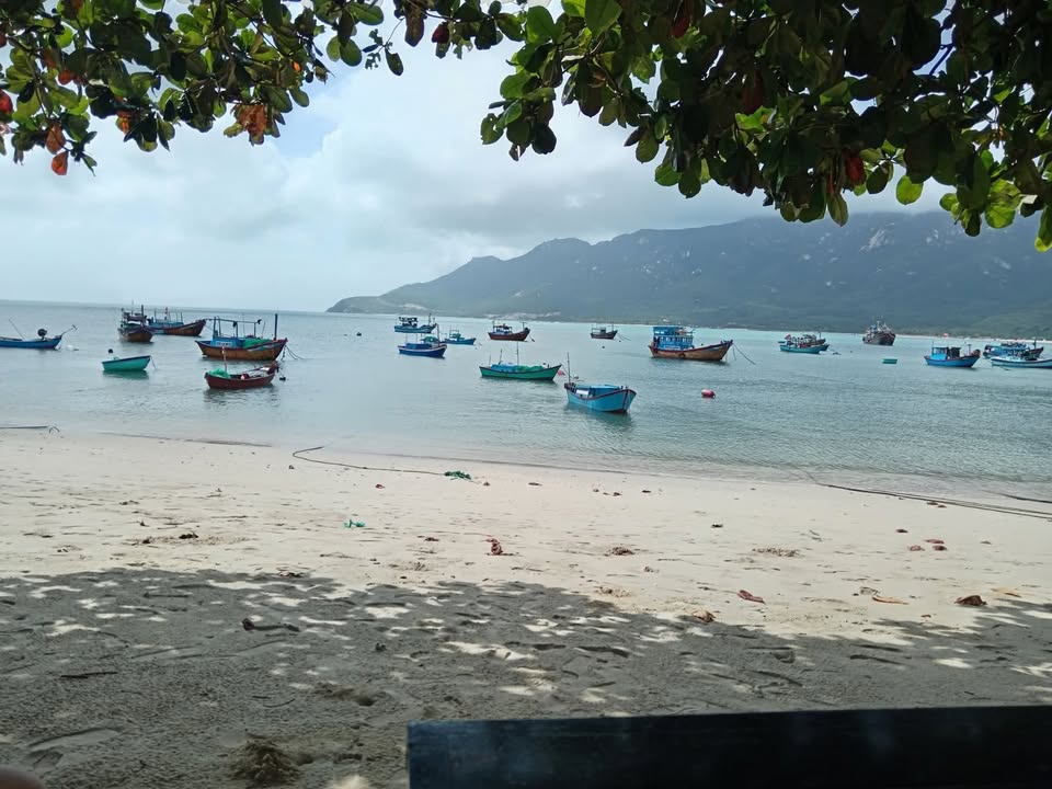 Đất biển Ninh Vân - Khánh Hòa 500m² giá 8 tỷ - Cách biển 100m, đầu tư sinh lời!