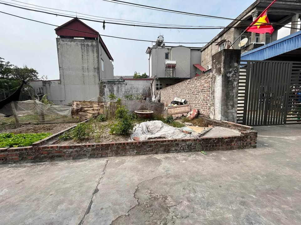 Đất thổ cư Lạc Nông, Mai Đình 65.8m² giá 2,x tỷ - Tiềm năng đầu tư cao!