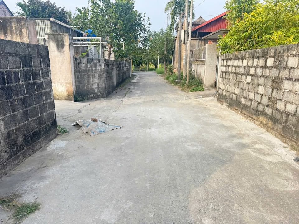 Đất nền xã Kiến Thiết, huyện Tiên Lãng 114m² giá thỏa thuận - Đầu tư sinh lời hấp dẫn!