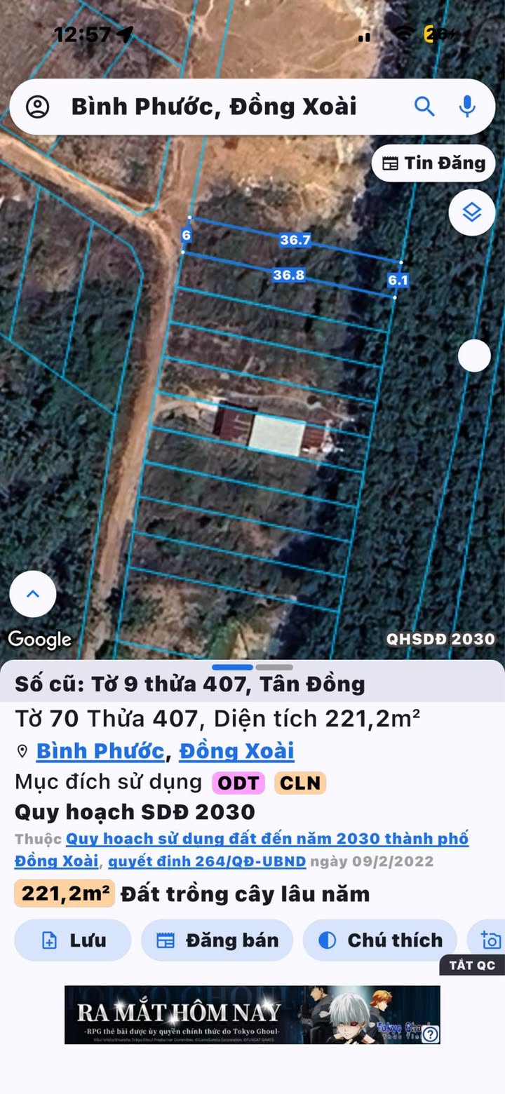 Đất nền Khu Phố 4, Tân Đồng 1800m² - Chính chủ cần bán gấp!