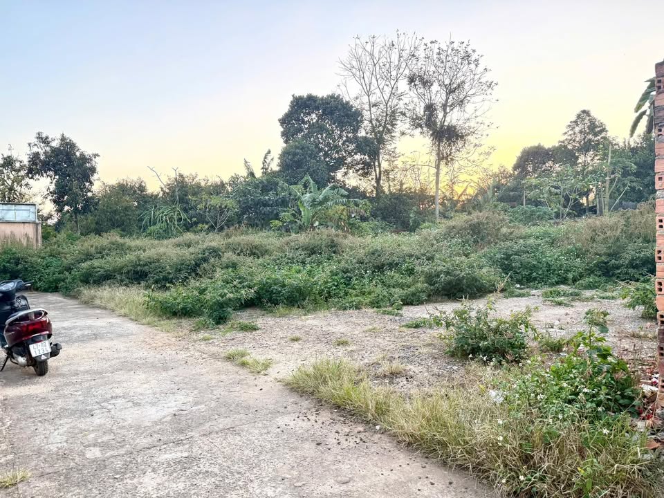 Đất nền xã Ea Yông, huyện Krông Pắc 210m² giá 13.5 tỷ - Cơ hội đầu tư sinh lời!