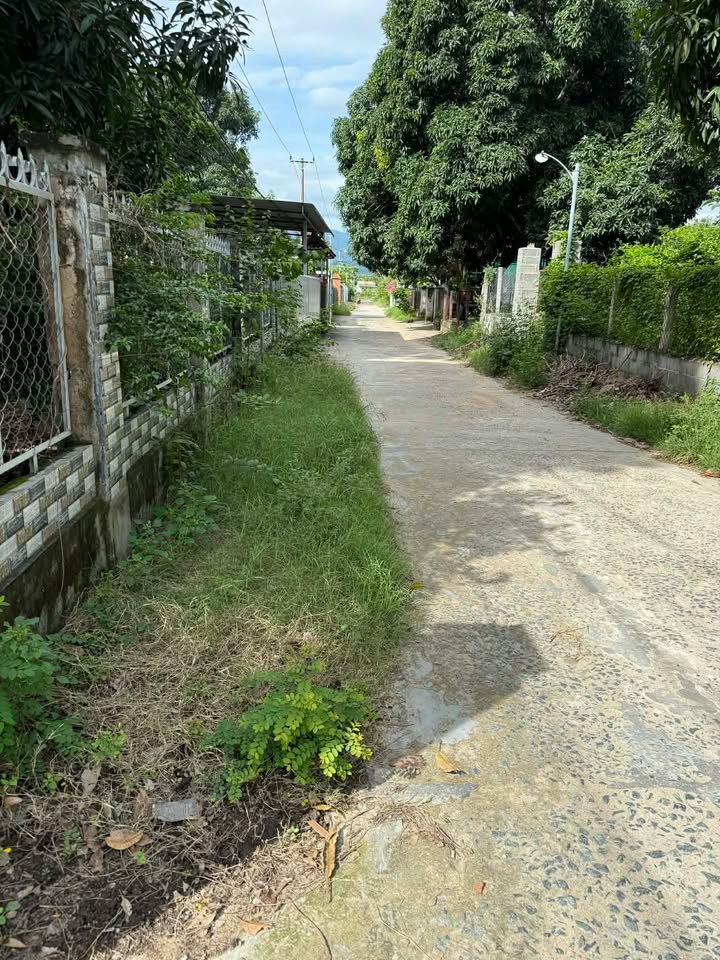 Đất nền Cam Phước Đông, Cam Ranh 218m² giá 750 triệu - Đường ô tô vào tận nơi!