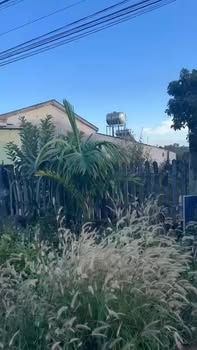 Đất nền xã Ia Chia 1000m² giá 650 triệu - Cơ hội đầu tư hấp dẫn!