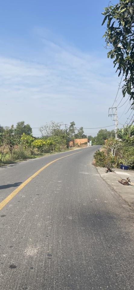 Đất nông nghiệp 1500m² tại Thái Mỹ, Củ Chi, giá 4 tỷ - Cơ hội đầu tư hấp dẫn!