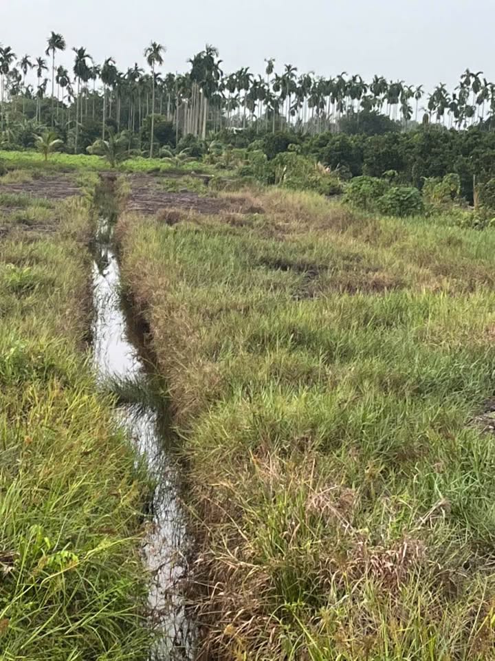 Đất vườn đẹp tại Trung An, Củ Chi 2353m² giá 3.76 tỷ - Cơ hội đầu tư tuyệt vời!