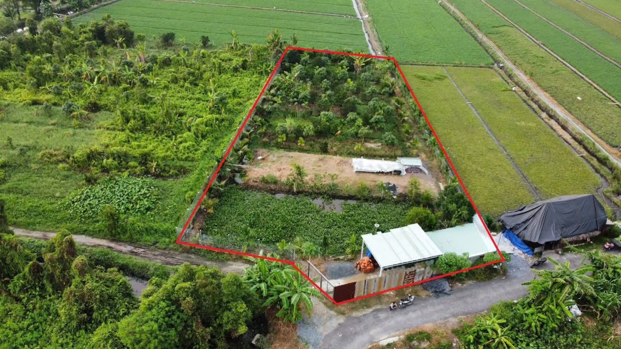 Nhà Vườn Nghĩ Dưỡng tại Bình Mỹ, Củ Chi 1700m² giá 6 tỷ - Không gian sống lý tưởng!