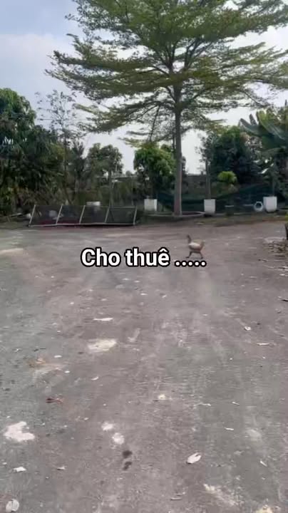 Kho xưởng cho thuê tại Củ Chi 570m² - Điện 3 pha, giá 12 triệu/tháng