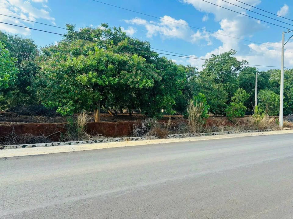 Đất nền 360m² Tân Phước Đồng Phú giá 800 triệu - Sổ hồng chính chủ!