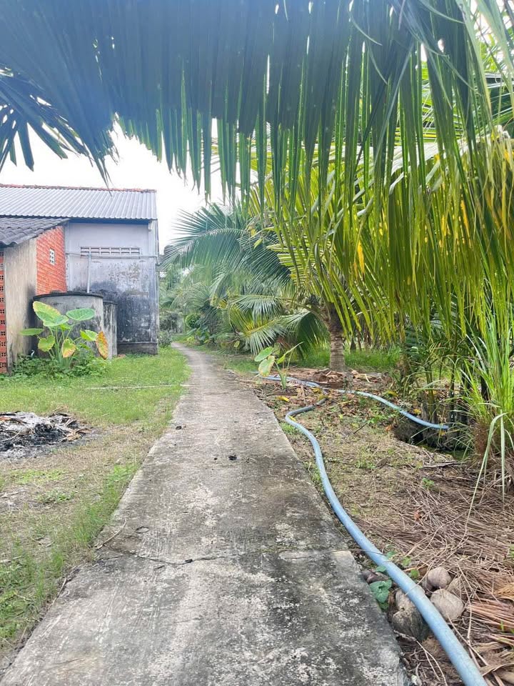 Đất nền Phú Khương Bến Tre 107m² giá 370 triệu - Cơ hội đầu tư tuyệt vời!