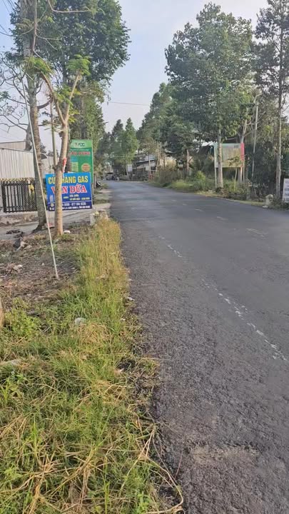 Đất thổ cư 3600m² tại Huyện Thới Lai - Giá chỉ 6.5 tỷ, phù hợp xây kho bãi!