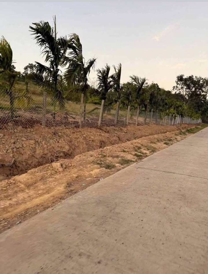 Farm 2,7ha tại Xã Băng A Drênh, Đắk Lắk giá 44,55 tỷ - Đầu tư sinh lời hấp dẫn!