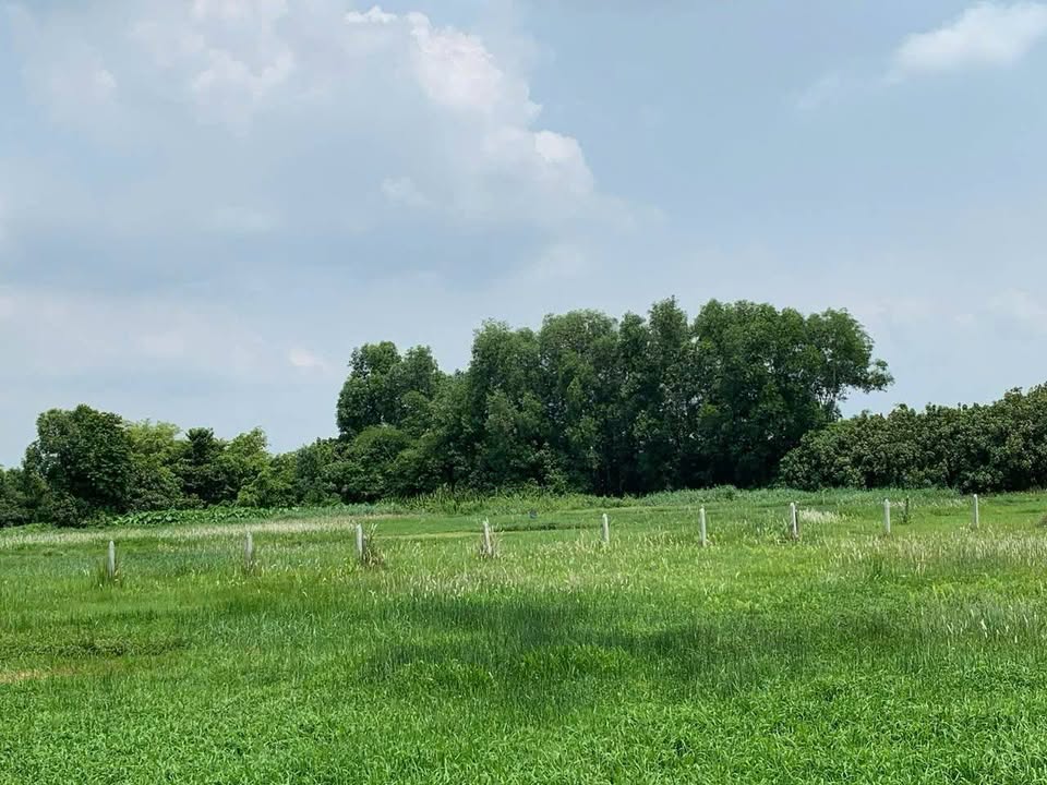 Đất nền 1608m² tại Xã An Phú, Củ Chi - Giá chỉ 920 triệu, cơ hội đầu tư tuyệt vời!