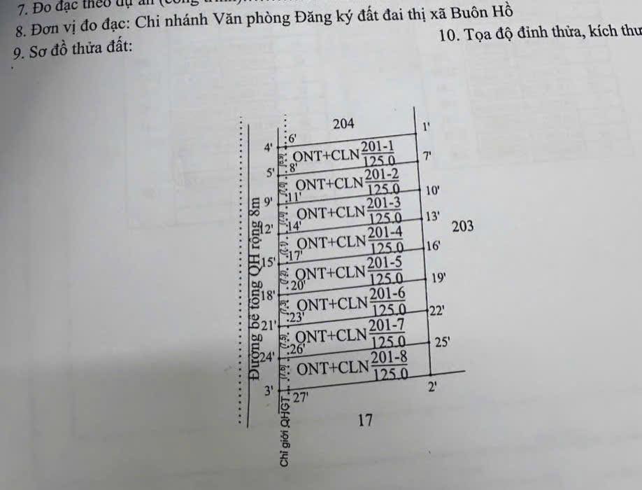 Đất Cư Bao 125m² giá chỉ 250 triệu - Đầu tư sinh lời ngay!