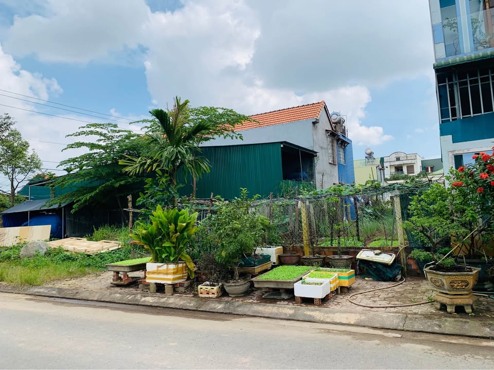 Lô đất 100m² sát Quốc lộ 1A, Thị trấn Ba Tơ - Giá chỉ 1.15 tỷ, thương lượng ngay!