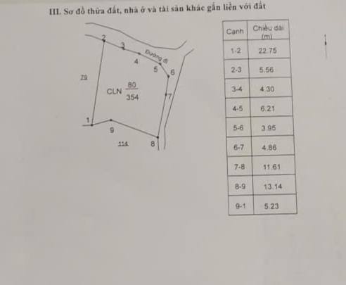 Đất nền xã Bình Hòa 350m² - Sổ đỏ quy hoạch đất ở, giá tốt!