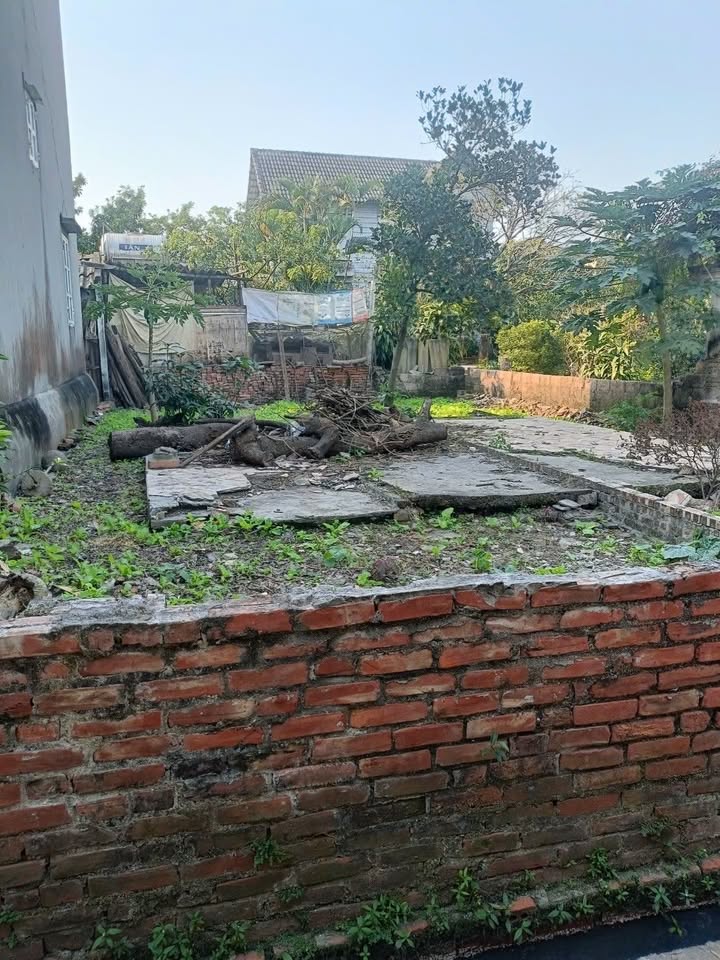 Đất nền Dương Quang, Gia Lâm 72m² giá 3 tỷ - Sổ đỏ lâu dài, ô tô vào tận nơi!