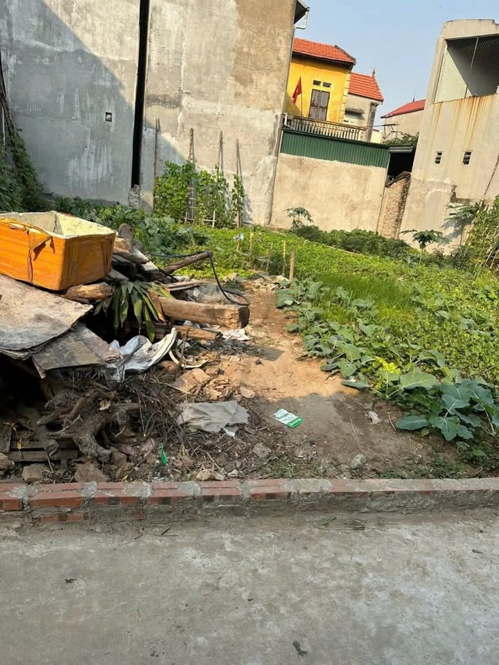 Đất ở đô thị Hồng Hạc, Xuân Lâm 66m² giá chỉ 2 tỷ - Hướng Bắc, vuông vắn, đầu tư sinh lời!