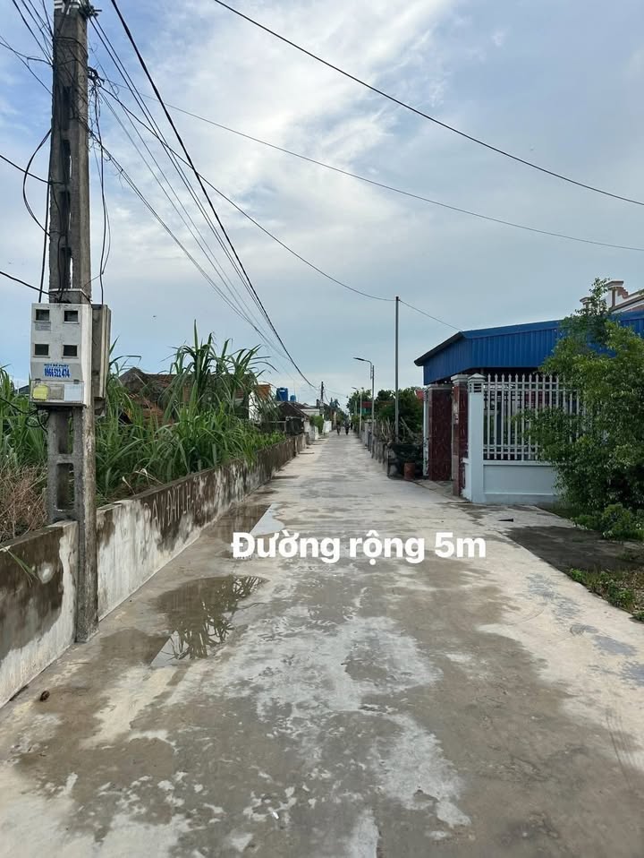 Lô đất 135m² tại xóm Hoành Lộ Bắc - Đầu tư sinh lời tốt!