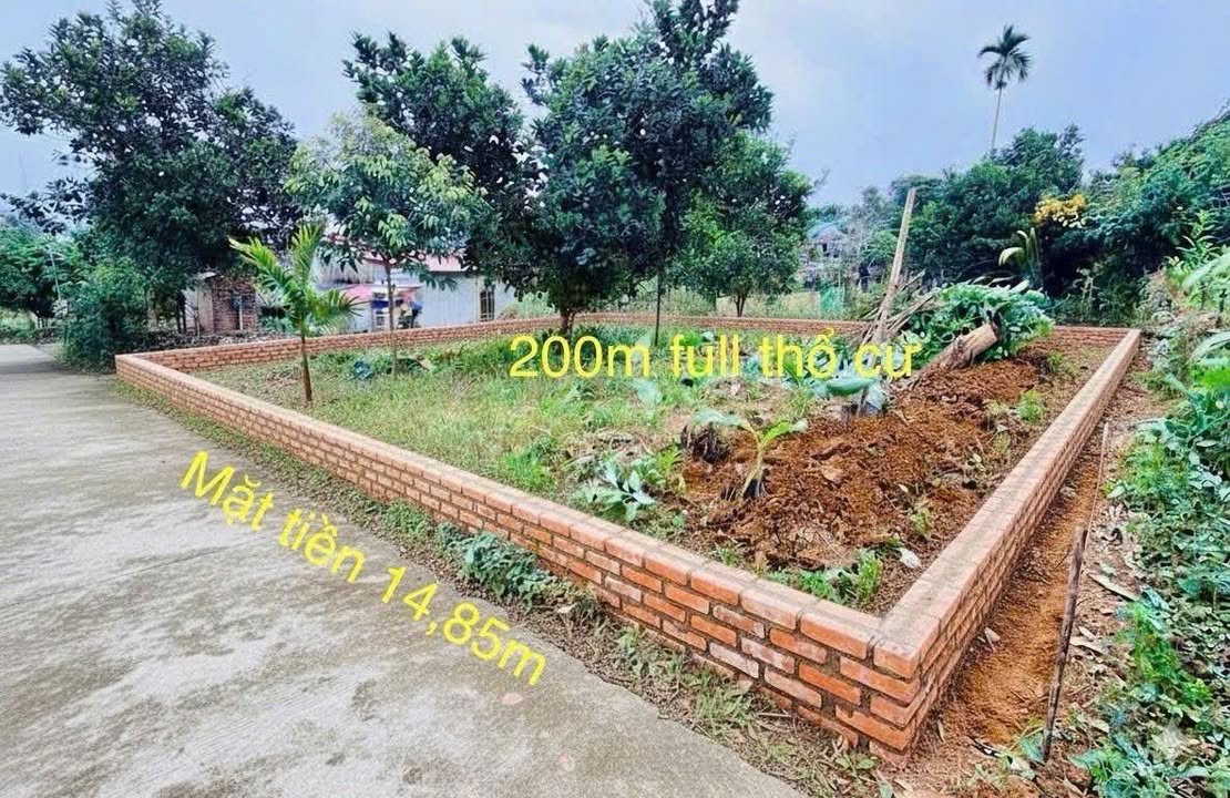 Đất thổ cư 200m² mặt tiền 15m tại thị trấn Cao Phong - Giá chỉ 300 triệu!