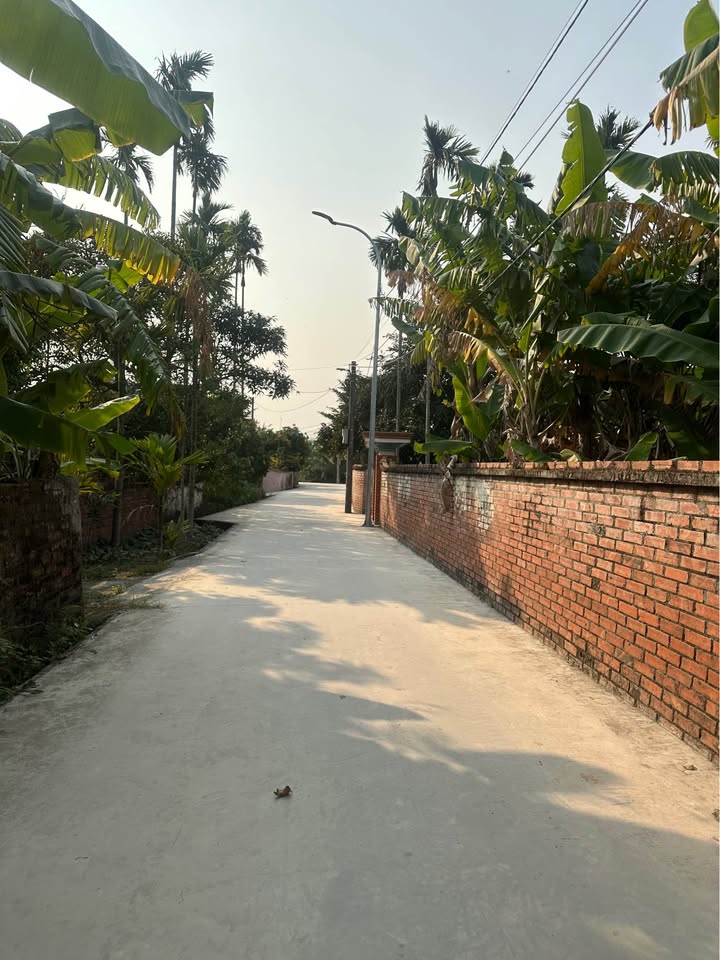 Đất nền Cầu Thượng, An Lão 65m² giá 570 triệu - Cơ hội đầu tư hấp dẫn!