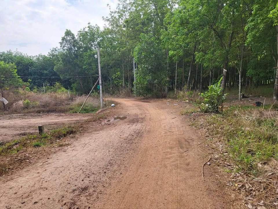 Đất nền Ấp Tân Lợi, Xã Tân Hưng, Huyện Tân Châu, 2700m² chỉ 850 triệu - Cơ hội đầu tư tuyệt vời!