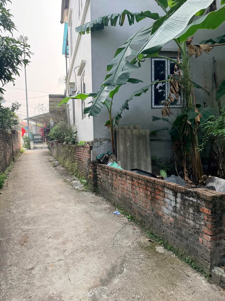 Lô đất 46,5m² tại Tích Giang, Phúc Thọ giá chỉ 1.2 tỷ - Đầu tư sinh lời cao!