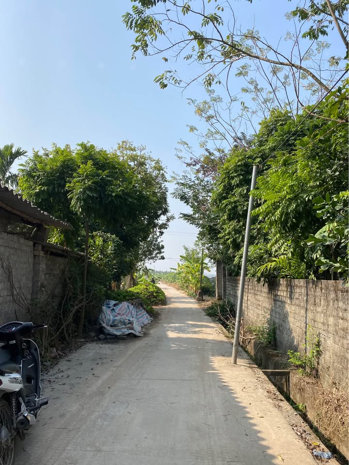 Bán lô đất 80m² xã Tích Lộc, huyện Phúc Thọ - Đầu tư tiềm năng, ô tô vào tận nơi!