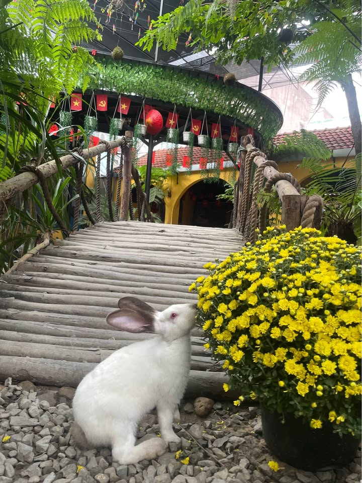 Đất nền 342 Hoàng Văn Thái 82m² giá 2.4 tỷ - Nở hậu đẹp, sổ hồng chính chủ!