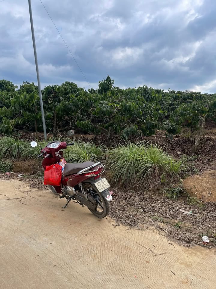 Đất nền thị trấn Nam Ban 582m² giá 1.1 tỷ - Phù hợp xây dựng nhà ở hoặc nghỉ dưỡng!