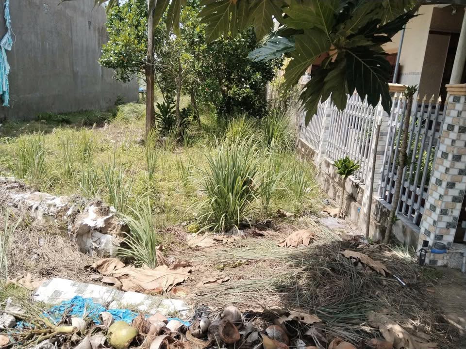 Đất nền mặt tiền Quốc lộ 30, xã Tân Thạnh, 290m² chỉ 1.55 tỷ - Cơ hội đầu tư tuyệt vời!