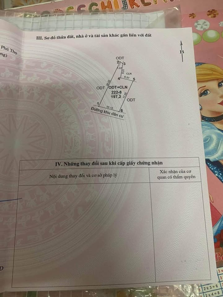 Đất thổ cư 100m² tại ngõ 115 Thị trấn Cẩm Khê - Sổ đỏ chính chủ, giá thỏa thuận!