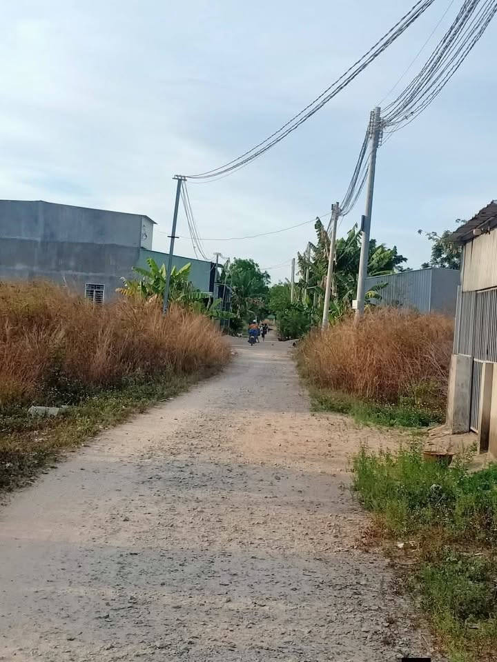 Đất nền 5000m² tại Thị trấn Lai Uyên, Bàu Bàng - Cơ hội đầu tư tuyệt vời!