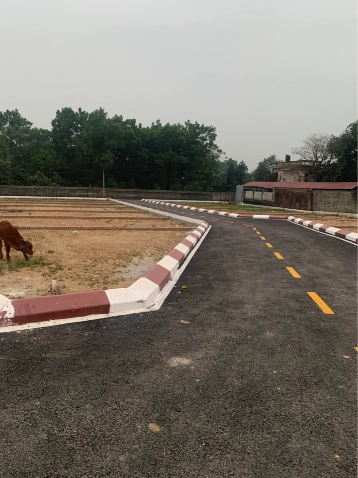 Đất thổ cư 1m² tại Xã Tích Lộc - Chỉ 2 tỷ, sổ đỏ trao tay!