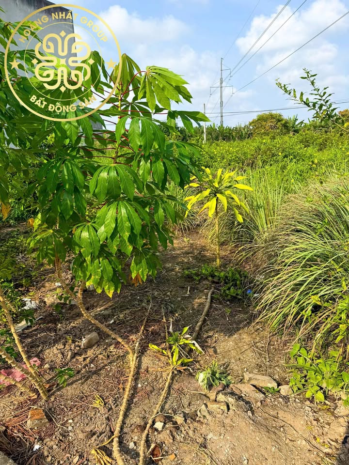 Đất nền KDC P. Tân Xuyên 207.3m² giá 1.15 tỷ - Mặt tiền đường số 14, đầu tư sinh lời!