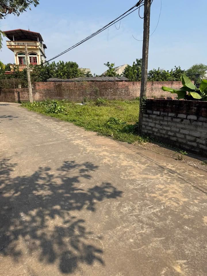 Đất thổ cư Ngọc Thiện 298m² giá 1 tỷ - Sổ hồng chính chủ, gần cụm công nghiệp!