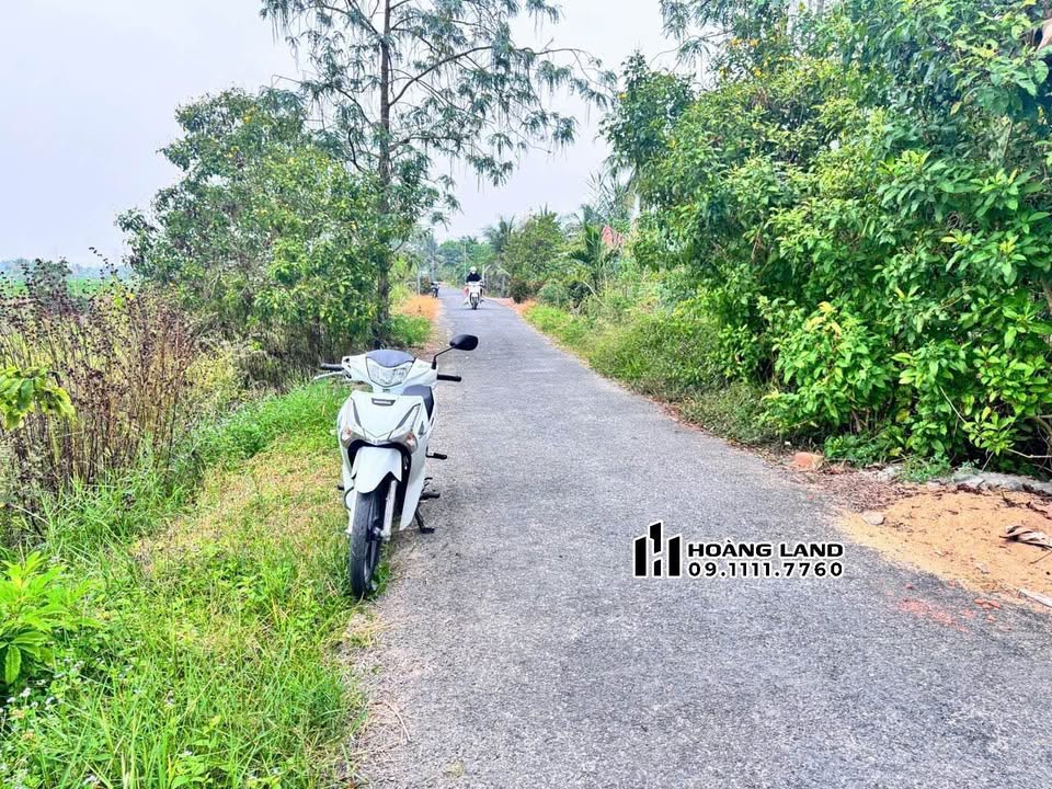 Đất nền thổ cư 100% Xã Tân Phú, Tam Bình, 100m² chỉ 2xx triệu - Đầu tư sinh lời ngay!