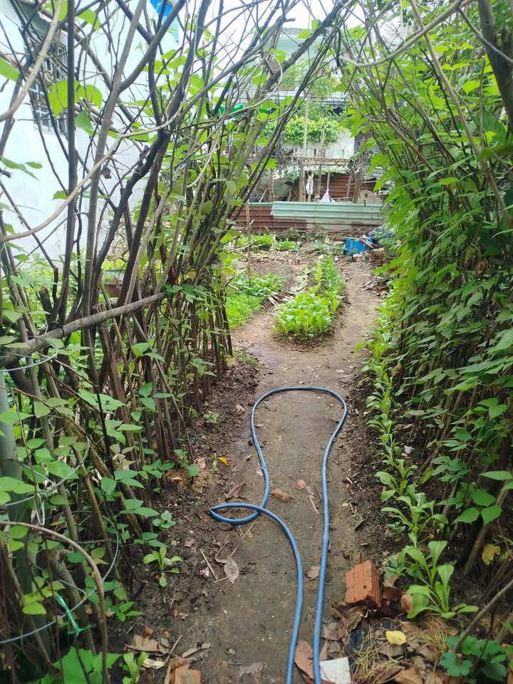 Đất nền 88m² tại Hòa Thọ Tây, Cẩm Lệ - Giá chỉ 3 tỷ, ô tô đỗ tận nơi!