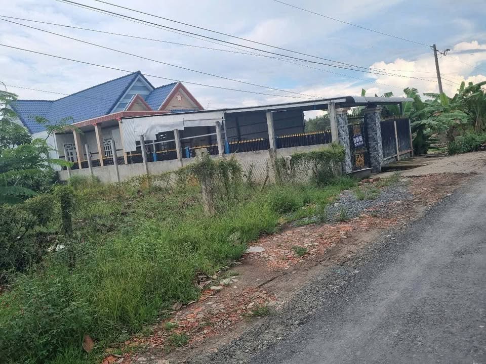 Nhà cấp 4 mặt tiền Quốc lộ 62, Thạnh Hóa, 259m² - Giá đầu tư chỉ 1.6 tỷ!