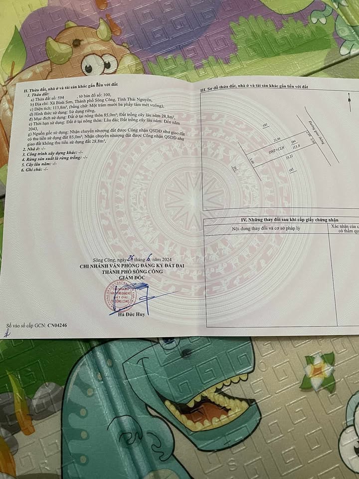 Đất thổ cư 113.8m² tại Tân Cương, Sông Công chỉ 3.7 tỷ - Đường thông thoáng, đầu tư sinh lời!