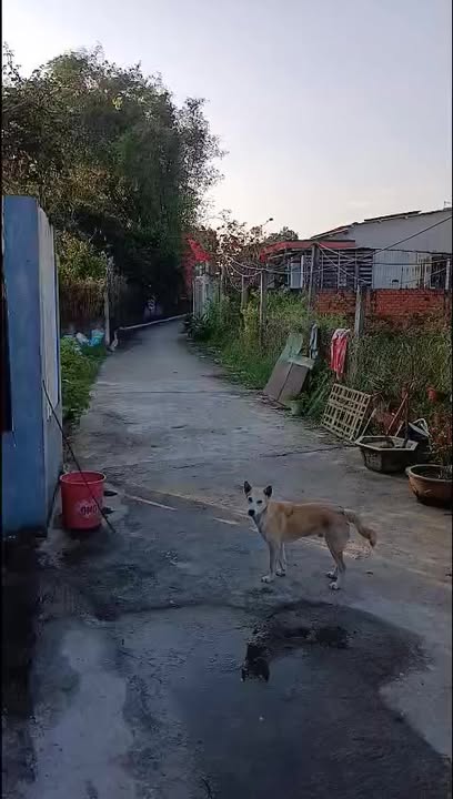 Nhà mới xây tại Điện Ngọc 99m² giá 2.8 tỷ - Thiết kế hiện đại, sẵn sàng vào ở!