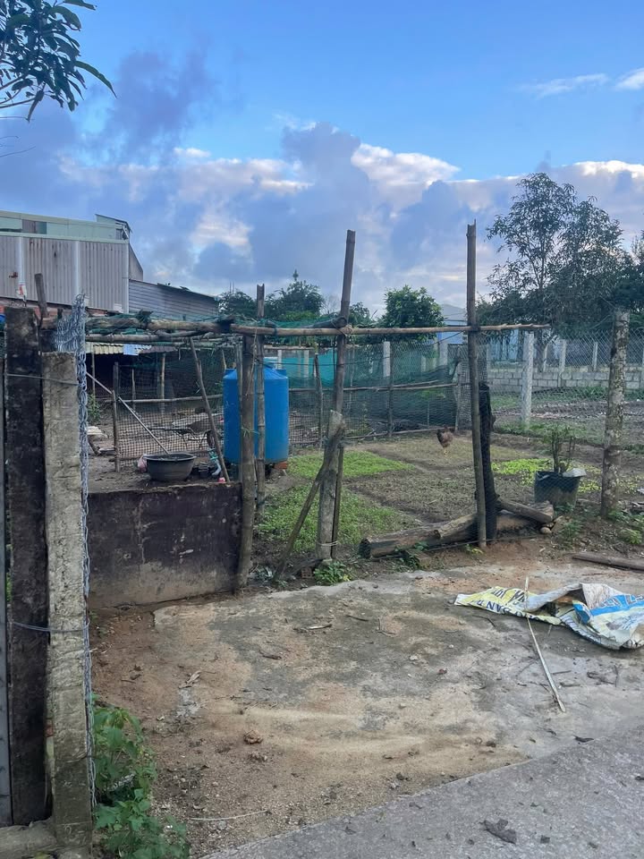 Đất nền 120m² tại kiệt bê tông xã Hòa Phú, Đà Nẵng - Giá tốt, đầu tư sinh lời!