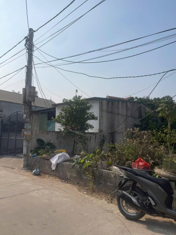 Nhà cấp 4 Vân La, Huyện Thường Tín 91m² - Vị trí đắc địa kinh doanh!