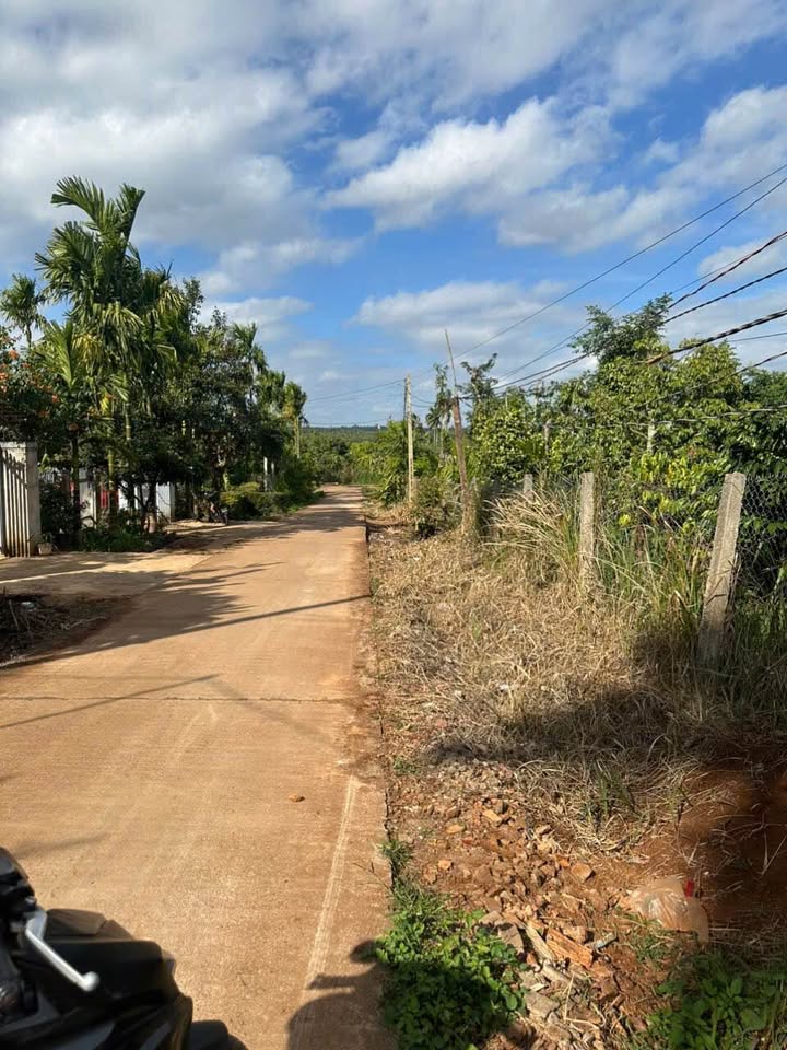 Đất thổ cư Xã Phú Xuân, Huyện Krông Năng 1053m² chỉ 85.3 tỷ - Giá rẻ nhất khu vực!