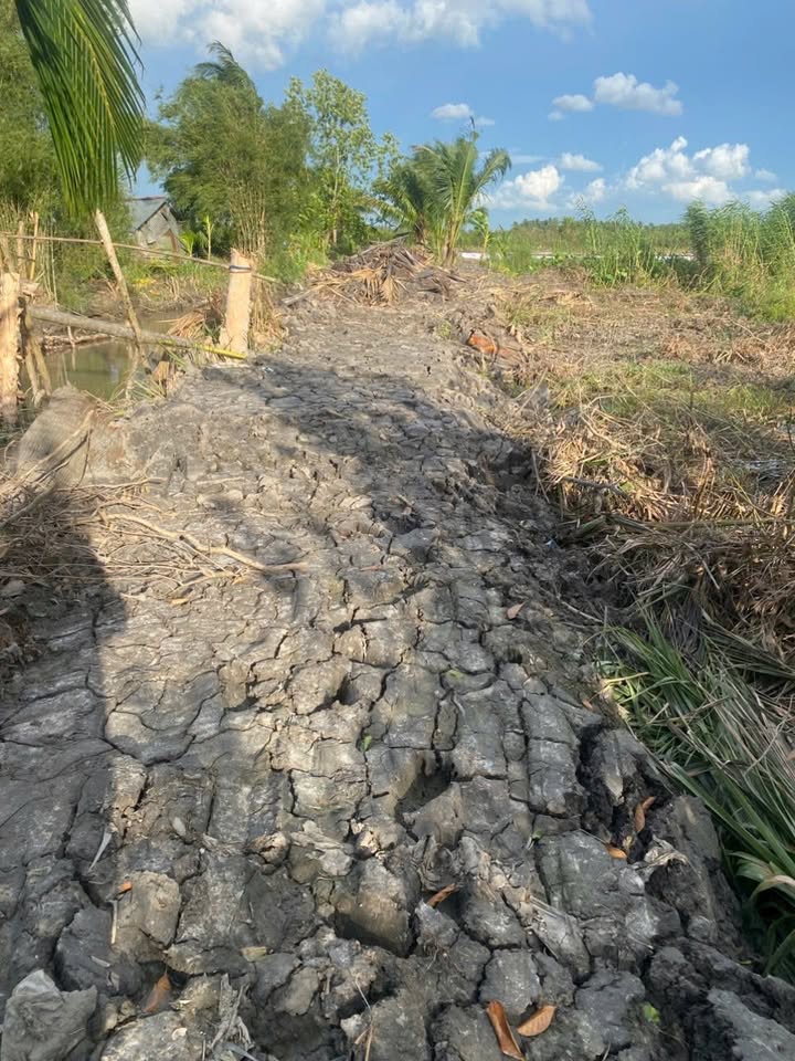 Đất nền Thới Hòa, Trà Ôn 2464m² giá 345 triệu - Cơ hội đầu tư hấp dẫn!