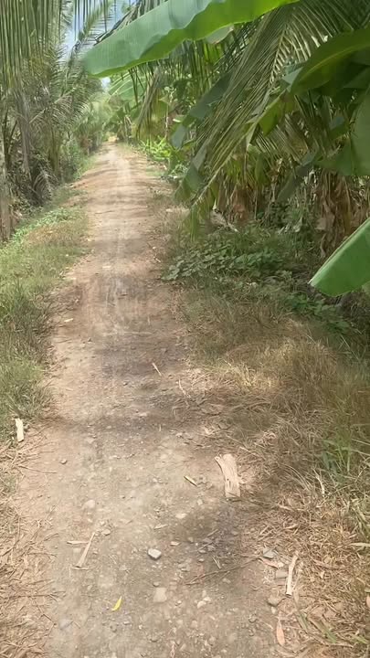 Đất nông nghiệp 7145m² xã Hiếu Nghĩa - Giá chỉ 1.249 tỷ, tiện chuyển đổi canh tác!